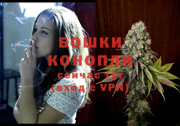 мяу мяу мука Няндома