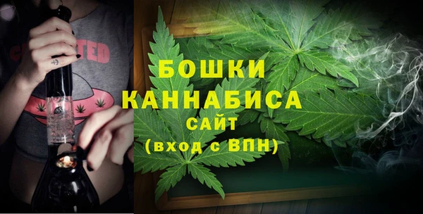 мяу мяу мука Няндома