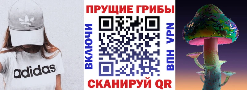 Псилоцибиновые грибы GOLDEN TEACHER Котлас