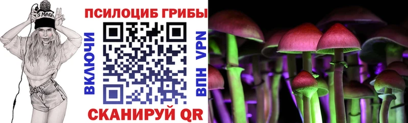 Псилоцибиновые грибы Psilocybine cubensis  Котлас 