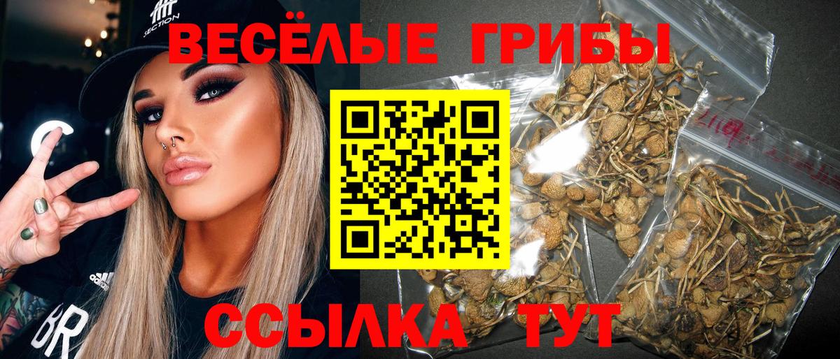 Галлюциногенные грибы ЛСД Котлас