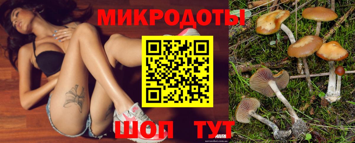 Псилоцибиновые грибы мухоморы Котлас